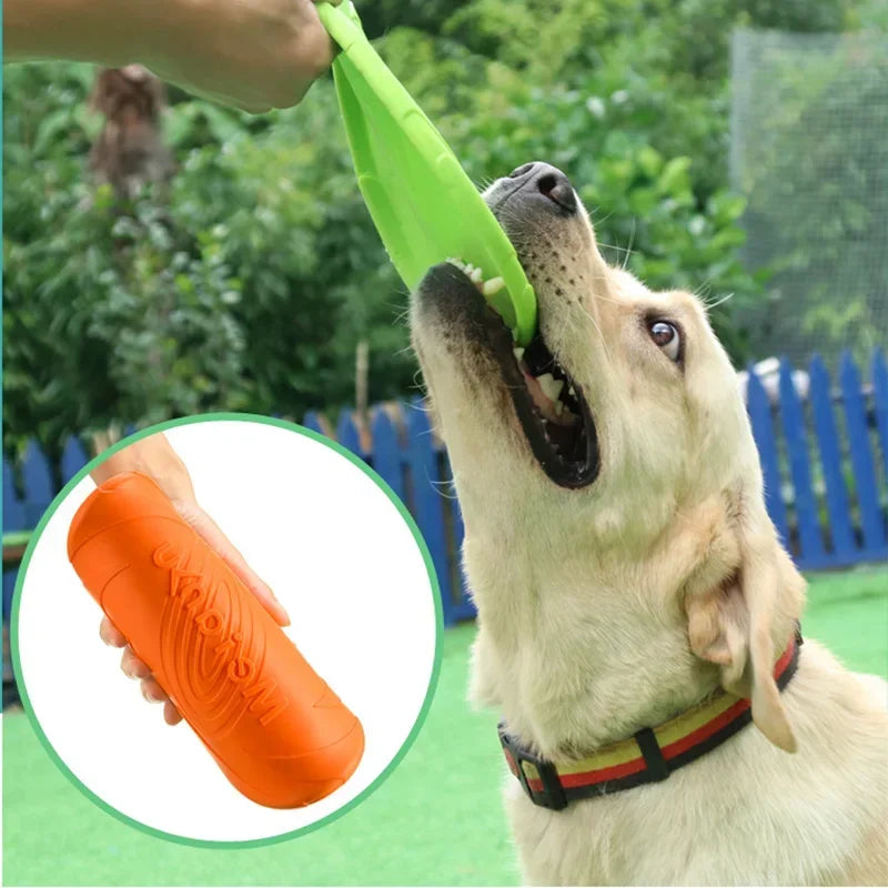 Gummi frisbee olika storlekar!