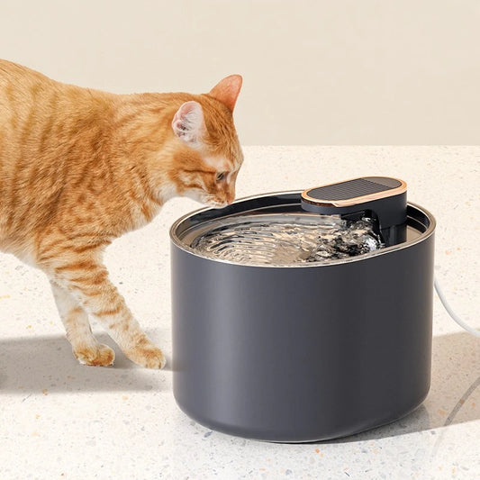 Automatisk Kattvattenfontän med LED-ljus och USB-laddning